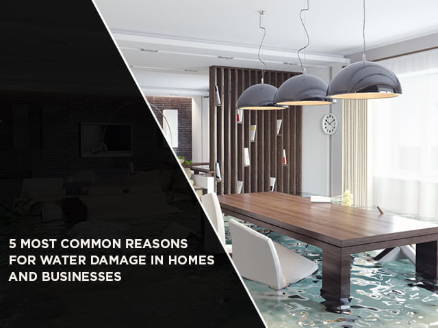 5 Most Common Reasons For Water Damage In Homes And Businesses