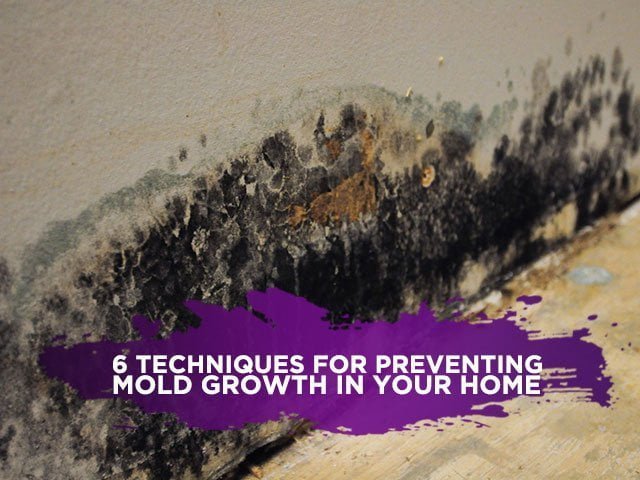6 Techniques for Preventing Mold Growth in Your Home