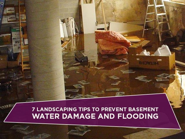 7 Landscaping Tips To Prevent Basement Water Damage And Flooding