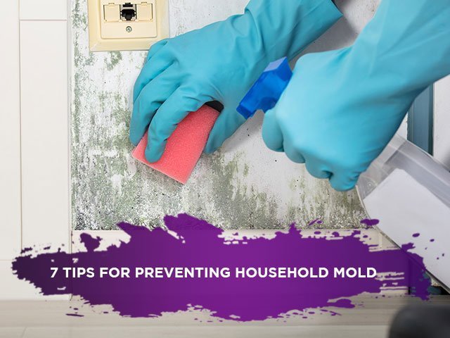 7 Tips for Preventing Household Mold