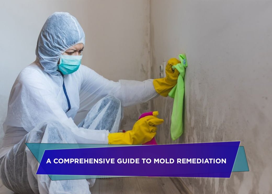 A Comprehensive Guide to Mold Remediation