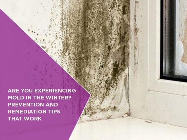 Are You Experiencing Mold In The Winter? Prevention And Remediation Tips That Work