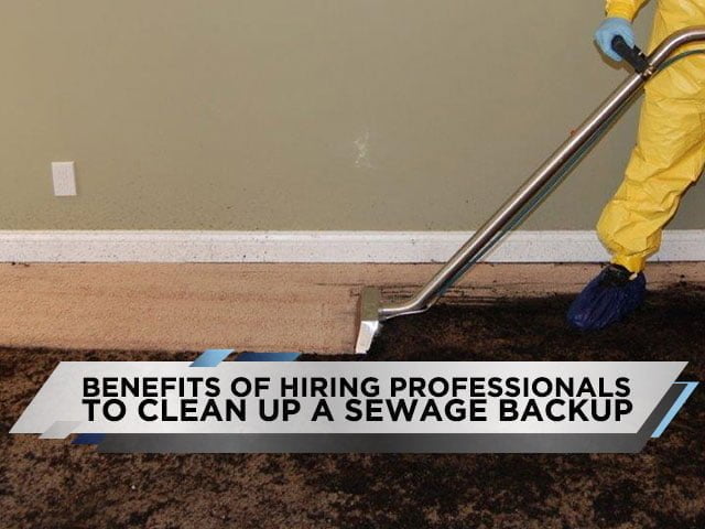 Benefits of Hiring Professionals To Clean Up a Sewage Backup