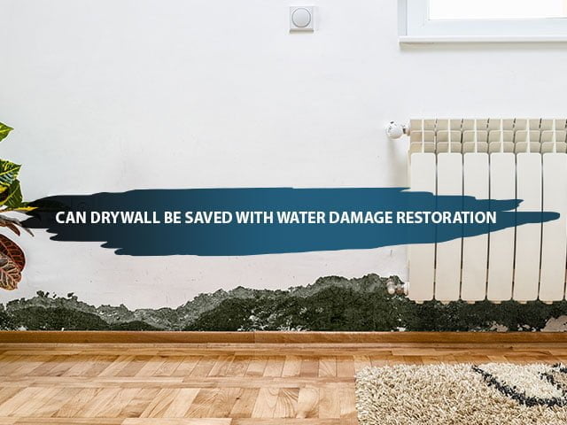 Can Drywall Be Saved With Water Damage Restoration
