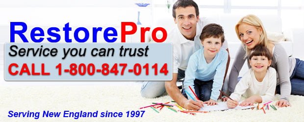 RestorePro Water Damage Experts