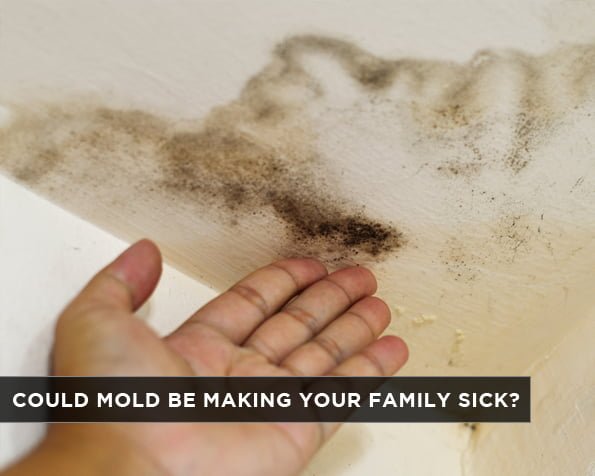 Could Mold be Making your Family Sick?