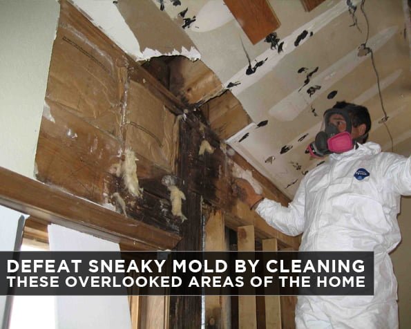 Defeat Sneaky Mold by Cleaning these Overlooked Areas of the Home