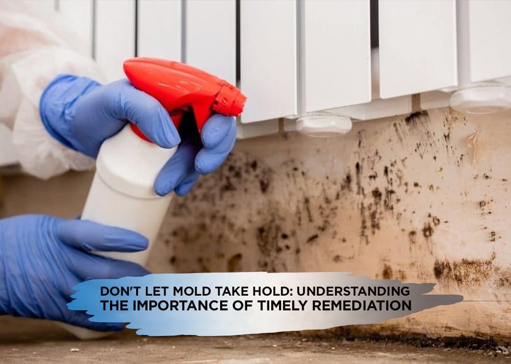 Don't Let Mold Take Hold: Understanding the Importance of Timely Remediation