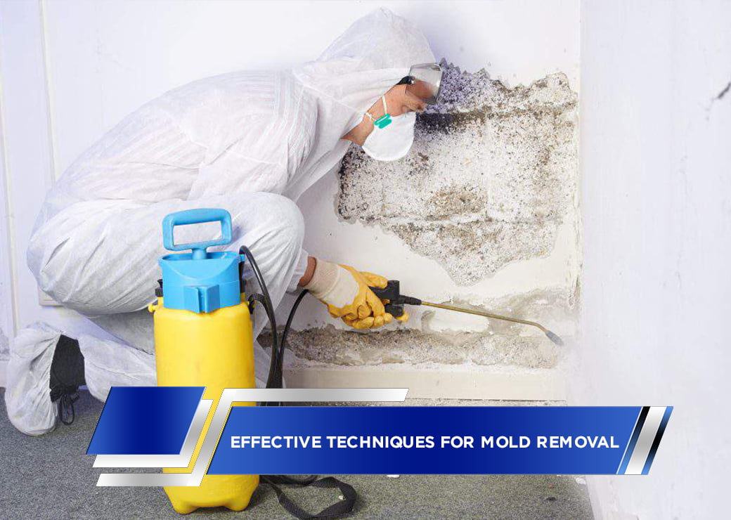 Effective Techniques for Mold Removal