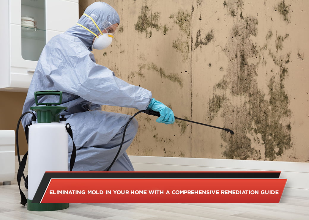 Eliminating Mold in Your Home with a Comprehensive Remediation Guide
