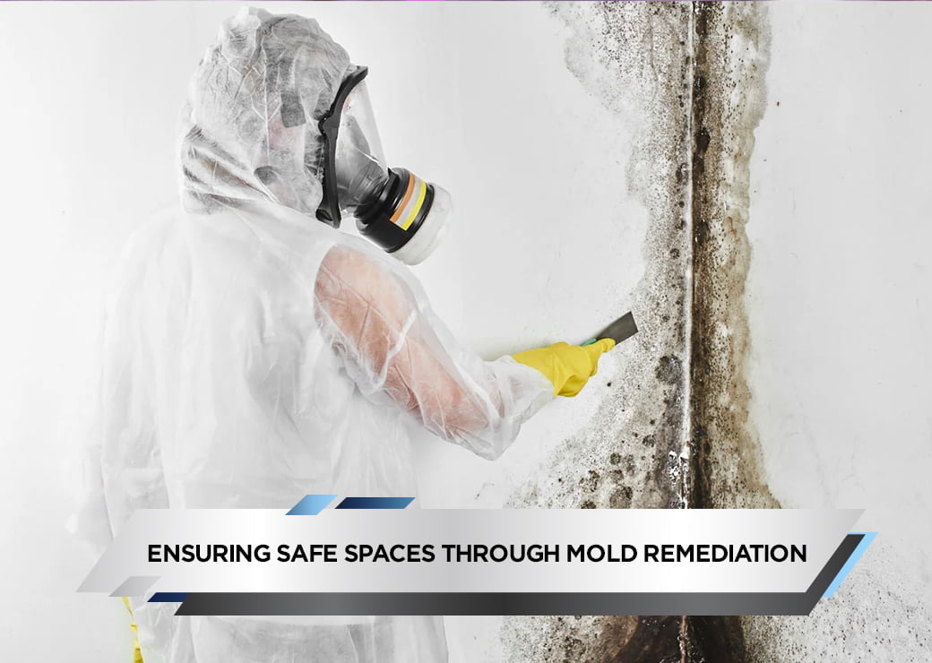 Ensuring Safe Spaces Through Mold Remediation