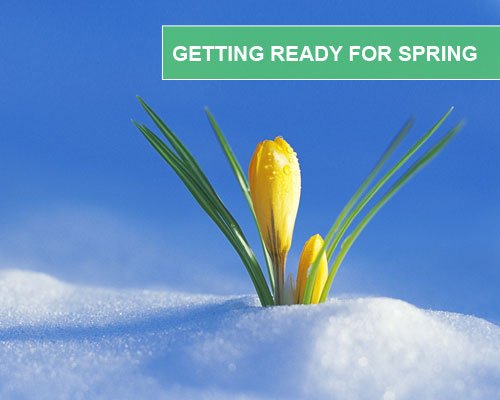 Getting-Ready-For-Spring