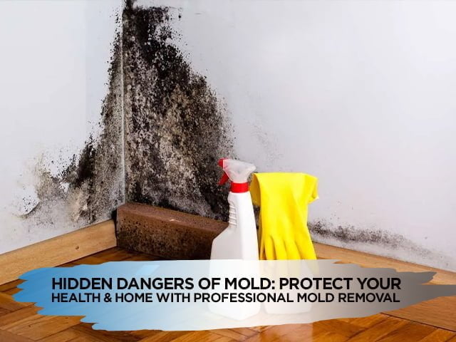 Hidden Dangers of Mold: Protect Your Health and Home with Professional Mold Removal