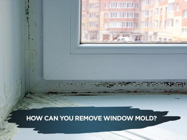 How Can You Remove Window Mold?