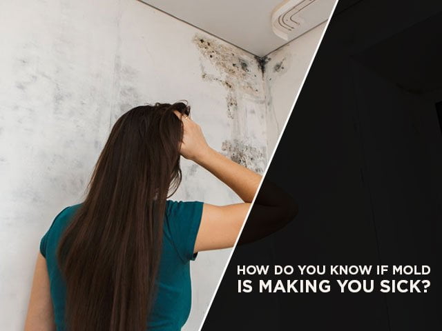 How Do You Know If Mold Is Making You Sick?