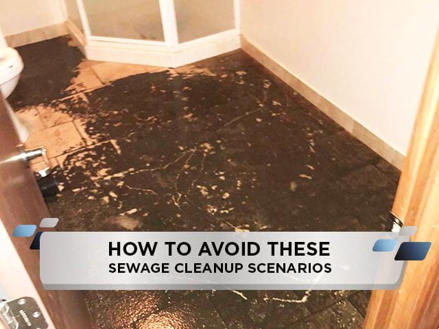 How To Avoid These Sewage Cleanup Scenarios