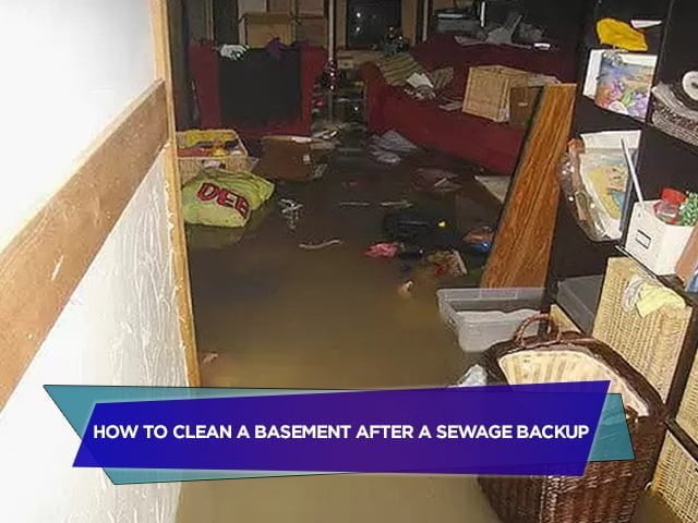 How To Clean a Basement After a Sewage Backup