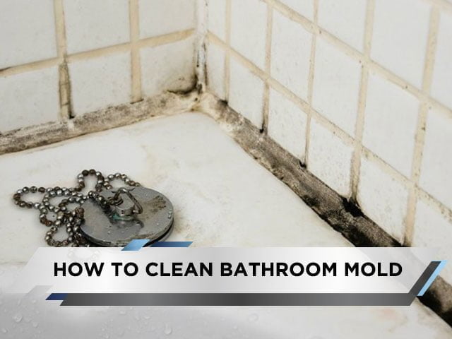 How to Clean Bathroom Mold