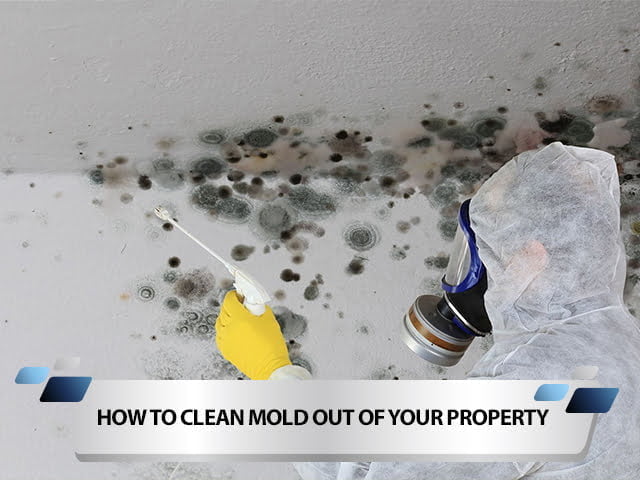 How To Clean Mold Out of Your Property