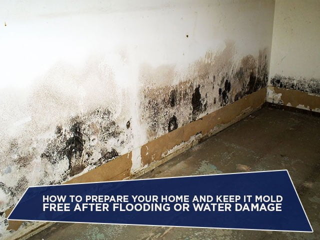 How to Prepare Your Home and Keep It Mold Free AFTER Flooding or Water Damage