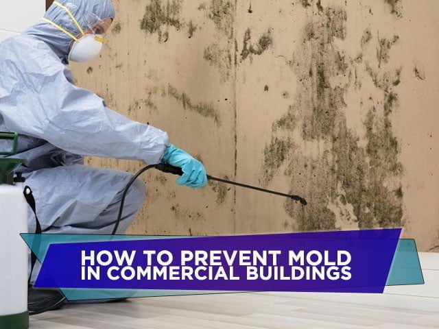How To Prevent Mold in Commercial Buildings