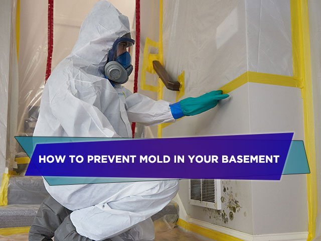 How To Prevent Mold in Your Basement