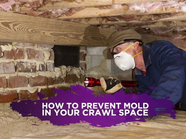 How to Prevent Mold in Your Crawl Space