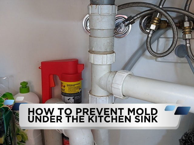 How to Prevent Mold Under the Kitchen Sink