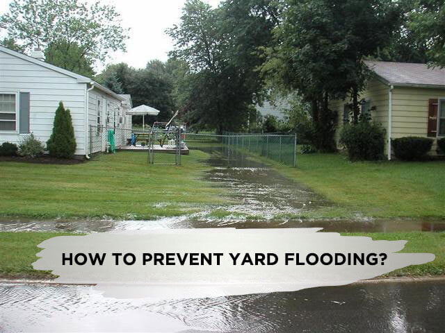 How to Prevent Yard Flooding