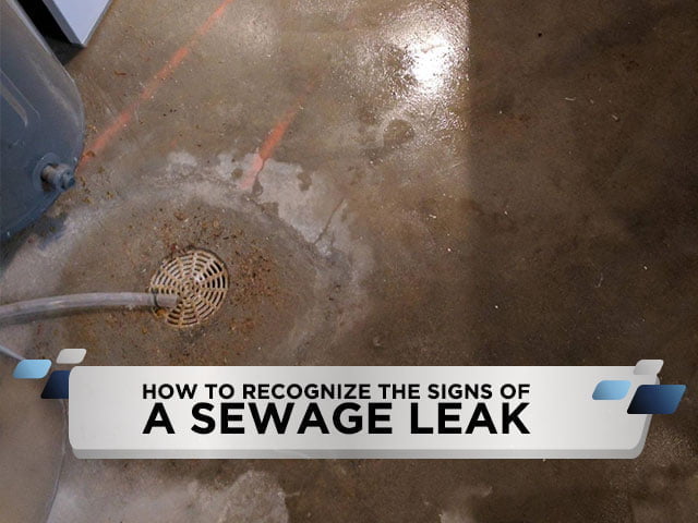 How To Recognize the Signs of a Sewage Leak