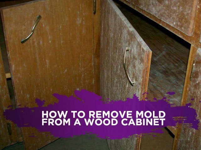 How to Remove Mold From a Wood Cabinet