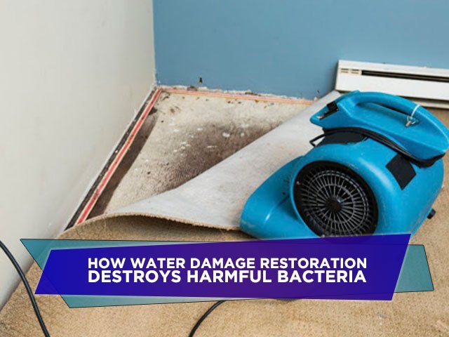 How Water Damage Restoration Destroys Harmful Bacteria