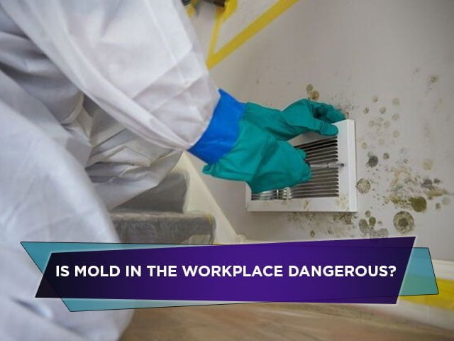 Is Mold In The Workplace Dangerous? How Mold Remediation Will Make It Safer For Employees