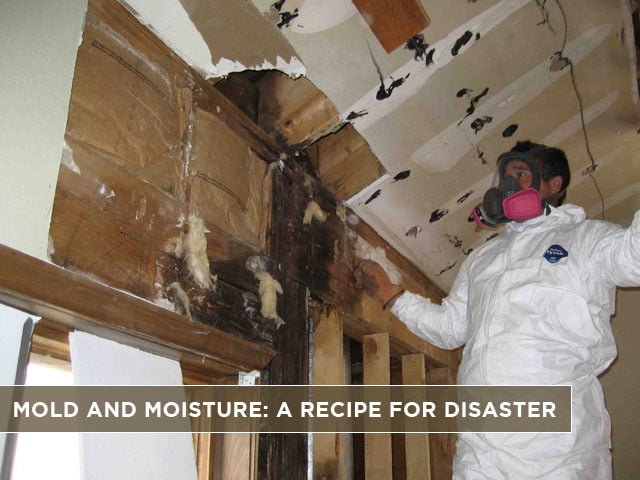 Mold And Moisture: A Recipe For Disaster