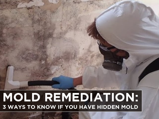 Mold Remediation: 3 Ways to know if you have Hidden Mold