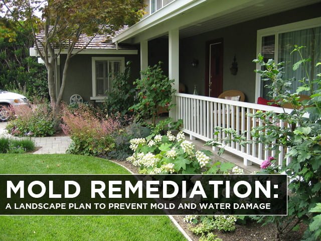 Mold Remediation: A Landscape Plan to Prevent Mold and Water Damage