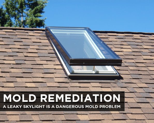 Mold Remediation: A Leaky Skylight is a Dangerous Mold Problem