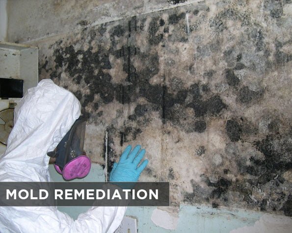 Mold Remediation