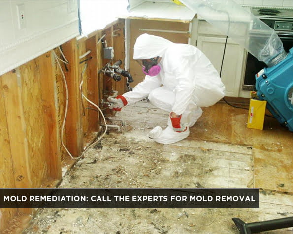 Mold Remediation: Call The Experts for Mold Removal