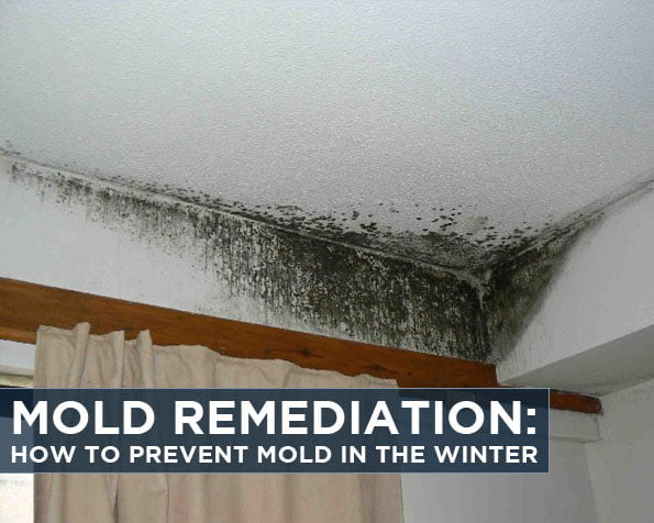 Mold Remediation: How to Prevent Mold in the Winter