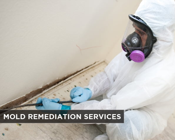 Mold Remediation Services