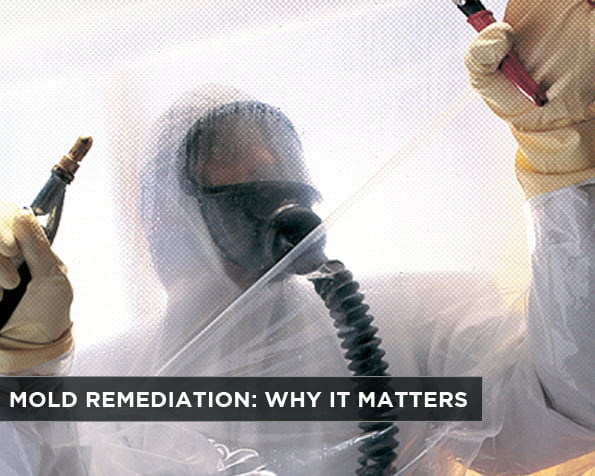 Mold Remediation: Why It Matters