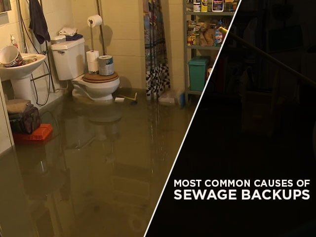Most Common Causes of Sewage Backups
