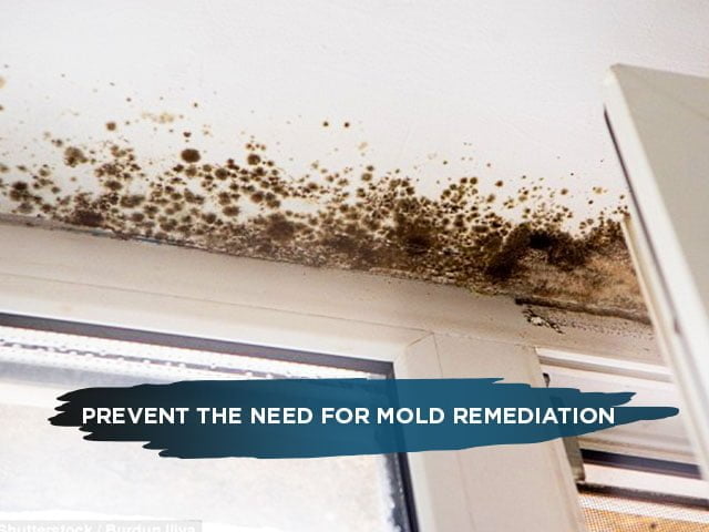 Prevent the Need for Mold Remediation