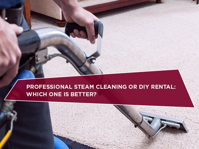 Professional Steam Cleaning Or DIY Rental: Which One Is Better?