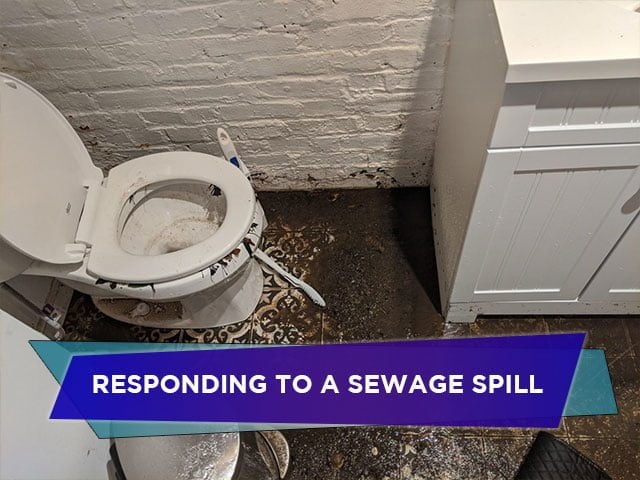 Responding to a Sewage Spill