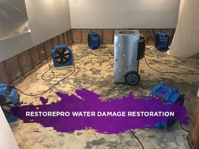 RestorePro Water Damage Restoration