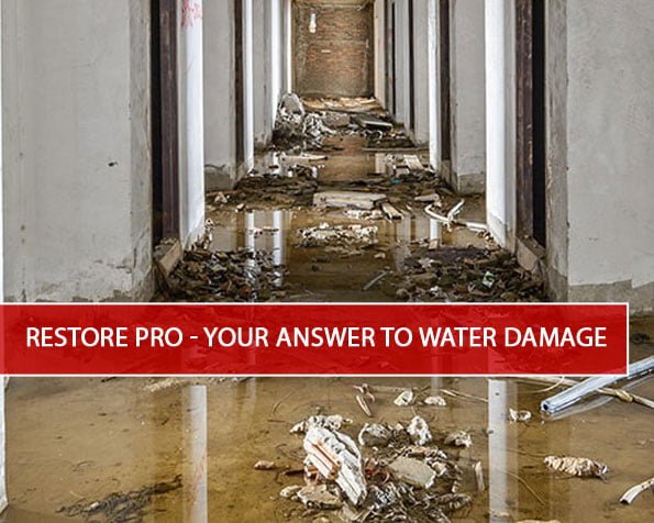 RestorePro – Your Answer to Water Damage