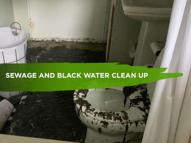Sewage and Black Water Clean Up