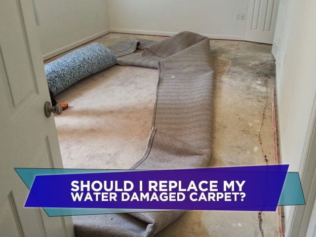 Should I Replace My Water Damaged Carpet?